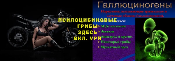 таблы Осинники