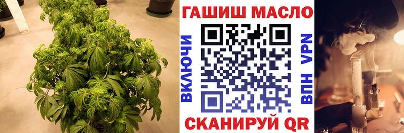 цена наркотик  Луза  Дистиллят ТГК гашишное масло 