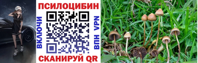 блэк спрут tor  Луза  Псилоцибиновые грибы ЛСД 